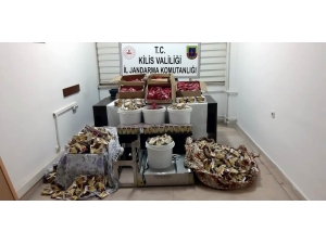 Jandarmadan Nargile Tütünü Operasyonu