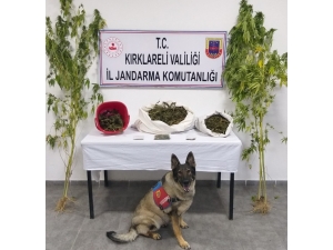 Kırklareli’de 3 Kilo 965 Gram Kubar Esrar Ele Geçirildi