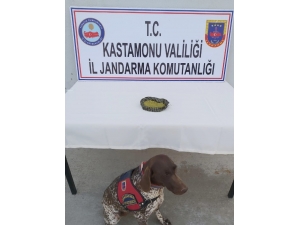 Kastamonu’da Toz Esrar Ele Geçirildi