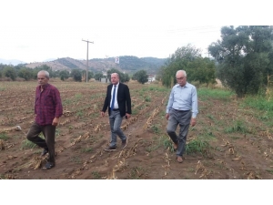 Muğla’da Selde 27 Koyun Telef Oldu