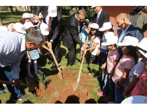 Şanlıurfalı Minik Öğrenciler Fidanları Toprakla Buluşturdu
