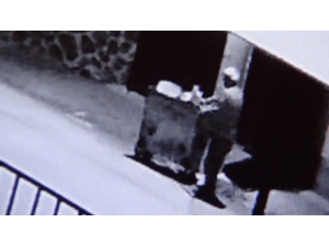 Motosikletin Çarptığı Köpek Telef Oldu