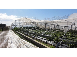 Seralar İçin Sigorta Zamanı