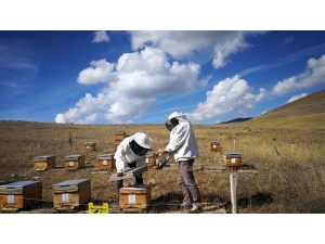 Tanap, 20 İlde Yaklaşık Bin Proje İle Çevreyi Ve Kalkınmayı Destekledi