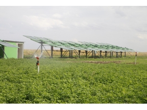 Türkiye’nin Milli Projesi, Dünya Basınında Bm’nin Açlık Raporuna Panzehir Olarak Sunuldu