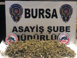 Turşu Bidonuyla Uyuşturucu Servisi