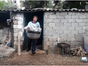 Antalya’da 1.5 Tonluk Midye Operasyonu