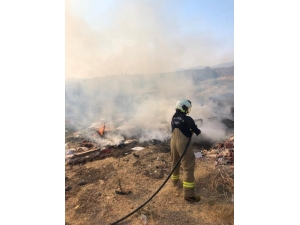 Burhaniye’de Ot Yangını Korkuttu