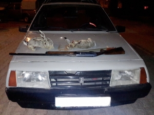 Otomobil Farıyla Tavşan Avlayanlara Suçüstü