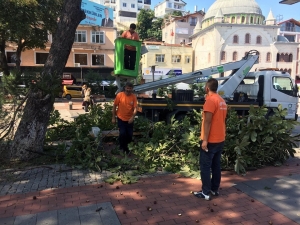 Sakin Şehir Perşembe’de Kış Hazırlıkları Sürüyor