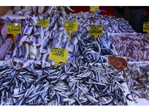 Balık Miktarı Azaldı, Fiyatlar Arttı