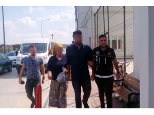 Evlerinde Bonzai Ve Esrar Bulunan Kardeşler Gözaltına Alındı