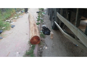 Tırdan Üstüne Tomruk Düştü