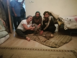 Yaralı Karacaya Aile Sahip Çıktı