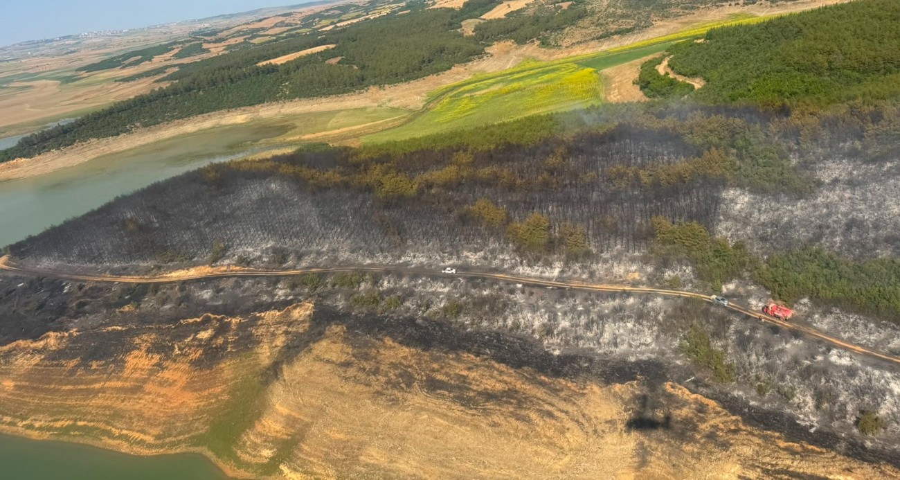 tekirdag-da-orman-yangini-ekipler-havadan-ve-karadan-seferber-oldu