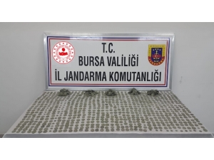 Tarihi Sikkeleri Satamadan Yakalandılar