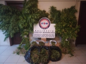 Operasyonda 12 Uyuşturucu Taciri Yakalandı