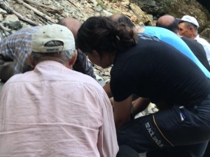 Ceviz Ağacından Düşen Yaşlı Adam Yaralandı