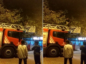 Sultanbeyli’de Ağaçta Mahsur Kalan Kediyi Kurtarma Operasyonu Kamerada