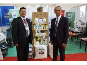 Fındıkta Aflatoksin Ve Küllemeye Doğal Çözüm: "Bentonit"