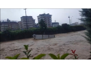 Borçka’daki Selin Sürüklediği Kamyon Kasası Hopa’ya Dere Suları İle İşte Böyle Ulaştı