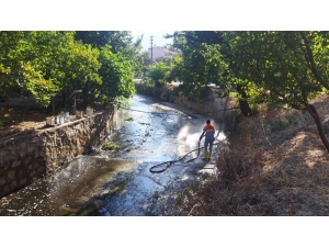 Dalakdere Ekiplerce Temizlendi