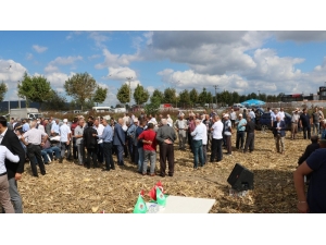 Sakarya Ziraat Odaları Başkanı Bayraktar: "Fiyatların Düşük Olması Üreticimizi Mısır Üretiminden Uzaklaştıracaktır"