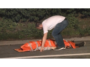 Tem Otoyolu’nda 4 Aracın Karıştığı Zincirleme Kaza: 3 Ölü, 3 Yaralı