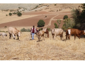 Örnek Yaşam Mücadelesi