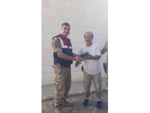 Yaralı Bulunan Arı Şahin’i Tedavi Altına Alındı