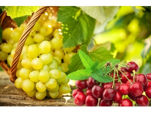 Rusya’ya Yapılan Yaş Meyve Sebze İhracatında 2014 Yılı Rakamları Yakalanamadı