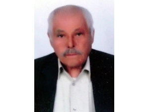 Ceviz Toplamak İsteyen Yaşlı Adam Ağaçtan Düşerek Hayatını Kaybetti