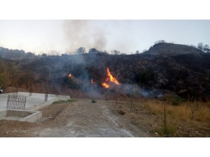 Datça’da Zirai Alanda Üç Farklı Noktada Yangın Çıktı