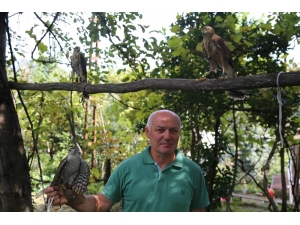 Artvin’de Atmaca Avcılığı Babadan Oğula Yaşatılıyor