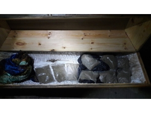 Sakarya’da Tabuttan Ceset Değil, Bonzai Çıktı