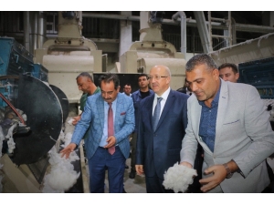 Ticaret Bakan Yardımcısı Uçarmak: "Beyaz Altın Değerini Bulmalı "