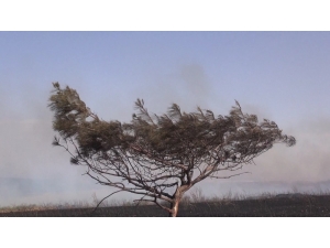 Küresel Isınma Ve İklim Değişikliği Medyanın Gündeminde