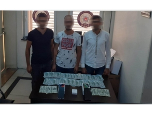 20 Bin Doları Çalan Hırsız Rahatlığıyla Pes Dedirtti