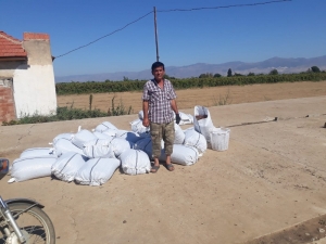 Bir Yılın Emeğini Bir Gecede Çaldılar