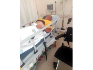 Ceviz Çırparken Elektrik Akımına Kapılıp Yaralandı