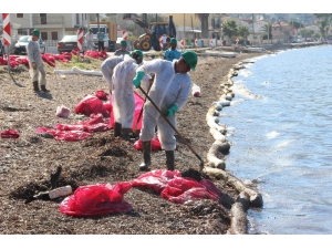 Foça Sahilinde Korkutan Petrol Atıkları, 50 Kişilik Ekip Bölgede