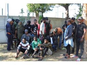 Ayvalık’ta 30 Kaçak Göçmen Yakalandı