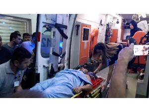 Kestiği Ağaç Üzerine Devrildi