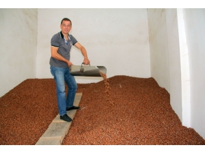 Fındık Fiyatı İstikrarı Yakaladı