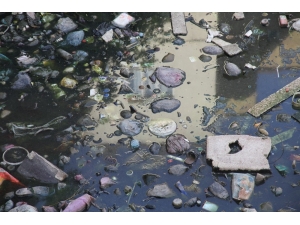 Zergan Deresine Atılan Çöpler, Hayvanların Hayatını Tehlikeye Atıyor