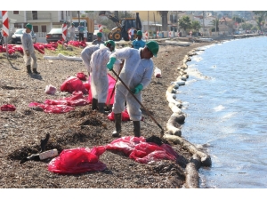 Deniz Kirliliğine Sebep Olan Firmaya Ceza