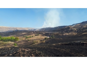 Kırıkkale’de Bin Dönümlük Arazide Anız Yangını