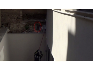 İtfaiye Erleri Kediyi Kurtarmak İçin Uzun Süre Uğraştı