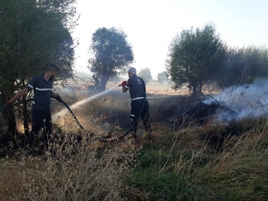 Bingöl’de Yangın,ağaçlar Zarar Gördü