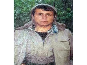 Siirt’te Etkisiz Hale Getirilen 5 Teröristten Biri Gri Liste’de